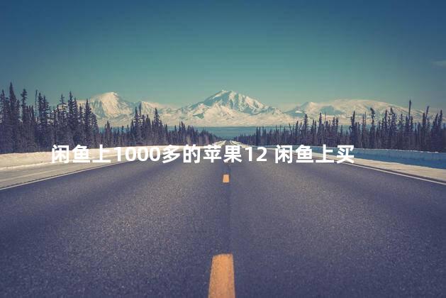 闲鱼上1000多的苹果12 闲鱼上买的可以退货吗 闲鱼一千多的苹果12是真的吗